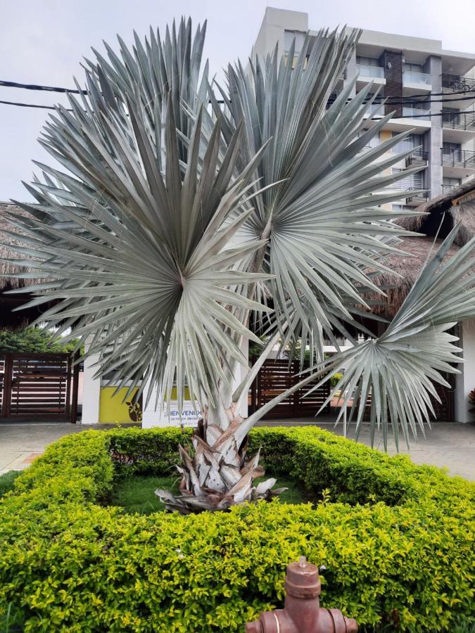 Via A Girardot -penazul Aldea